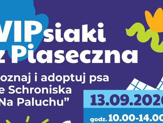 VIPsiaki z Piaseczna: adopcyjne spotkanie z psami szukającymi domu