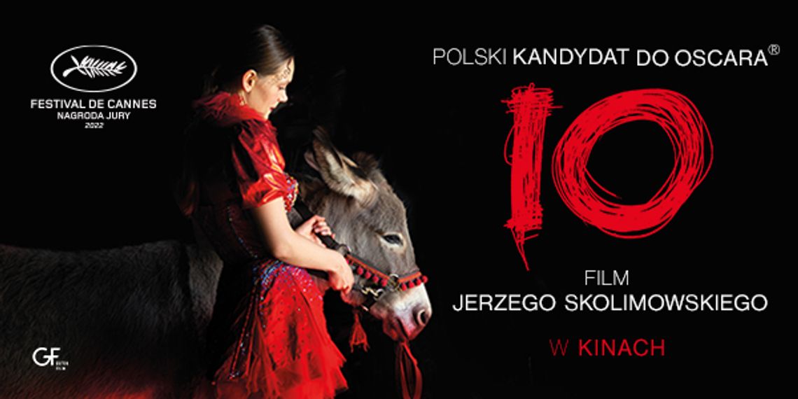 DKF Kinocentrycy: IO + spotkanie z Agnieszką Glińską, montażystką DKF Kinocentrycy: IO + spotkanie z Agnieszką Glińską, montażystką