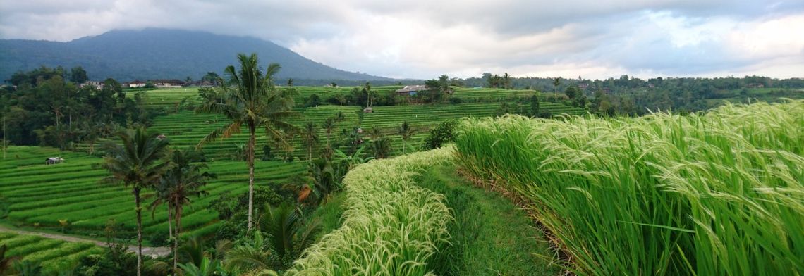 KLUB PODRÓŻNIKA. TAJEMNICZE BALI I REJS NA KOMODO