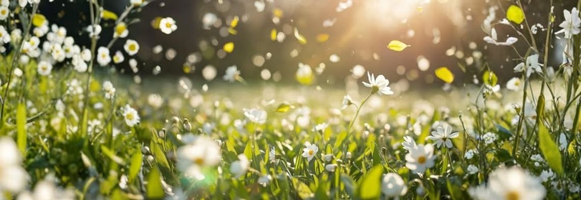 MUZYCZNE RYTMY WIOSNY. Audycja muzyczna uczniów Iryny Pushkarovej