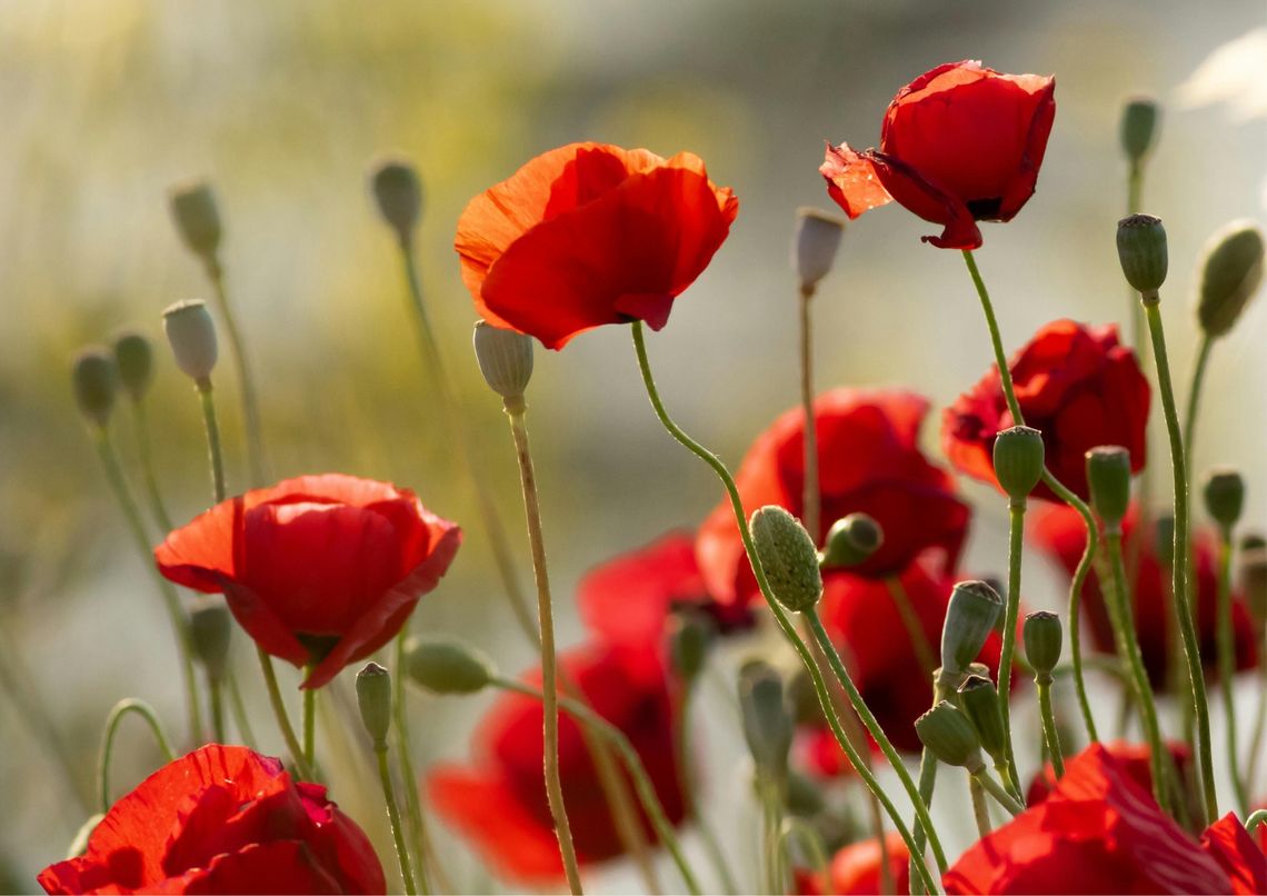 PO NASZEMU. Koncert uczniów Karoliny Benke PO NASZEMU. Koncert uczniów Karoliny Benke