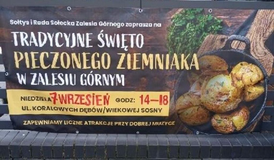 Święto Pieczonego Ziemniaka i koncert zespołu  BIG BAND DLA FRAJDY w Zalesiu Górnym