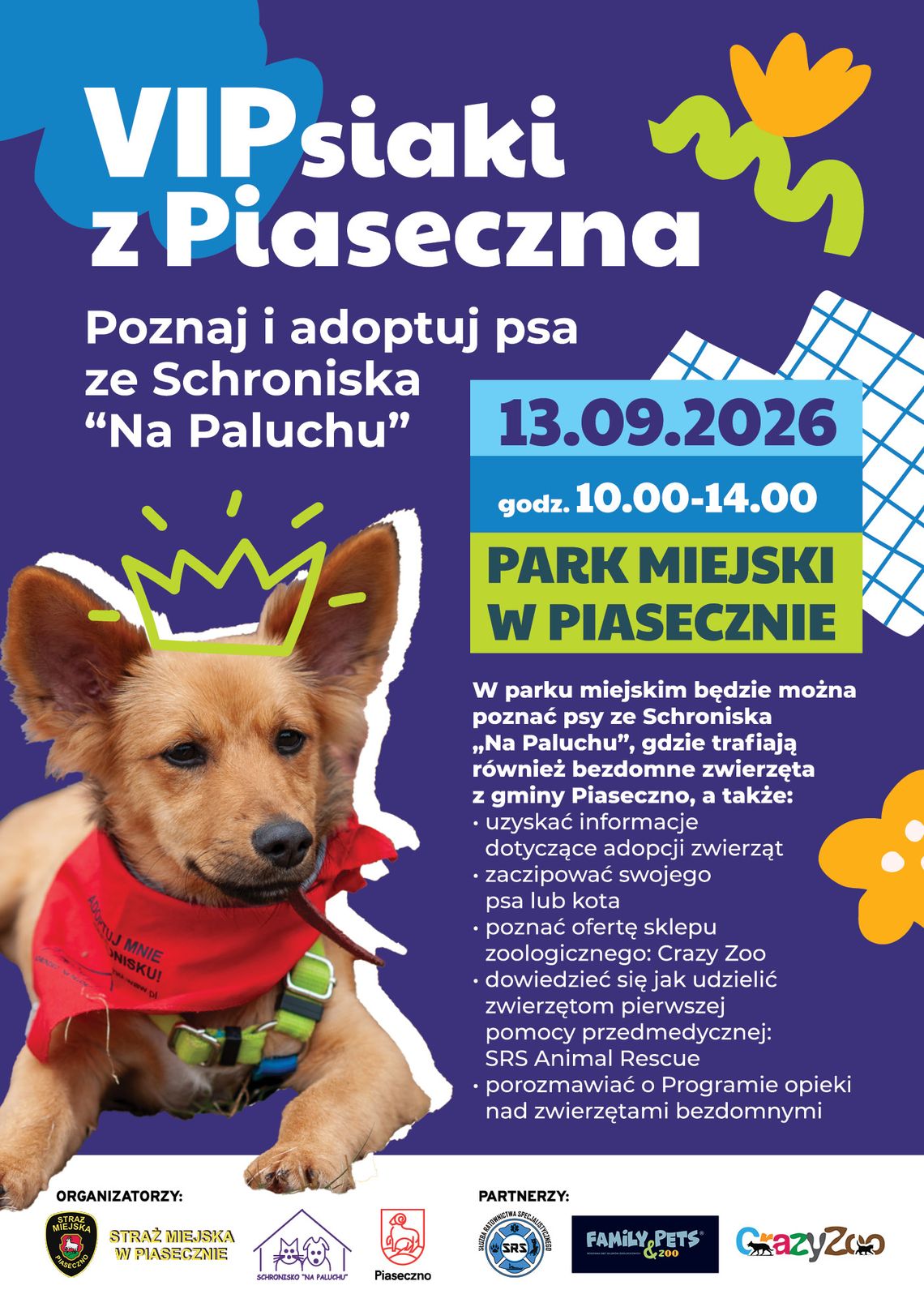 VIPsiaki z Piaseczna: adopcyjne spotkanie z psami szukającymi domu VIPsiaki z Piaseczna: adopcyjne spotkanie z psami szukającymi domu