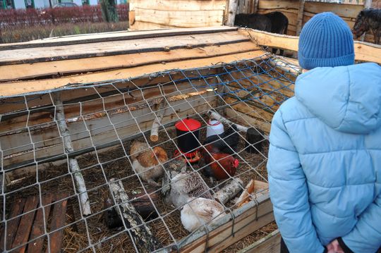 Żywa szopka na skwerze przy ul. Dominikańskiej w Górze Kalwarii