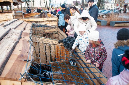 Żywa szopka na skwerze przy ul. Dominikańskiej w Górze Kalwarii