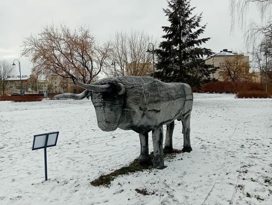 Park w Piasecznie w zimowej aurze [GALERIA ZDJĘĆ]