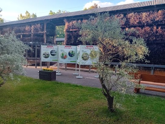 Park Zdrojowy w Konstancinie-Jeziornie to idealne miejsce na chwilę oddechu