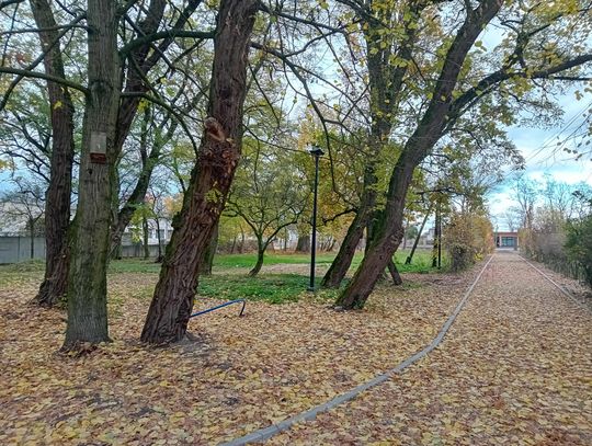 Budynek z 1820 roku, poddawany obecnie gruntownej modernizacji, ma odzyskać dawny blask. Budynek z 1820 roku, poddawany obecnie gruntownej modernizacji, ma odzyskać dawny blask.