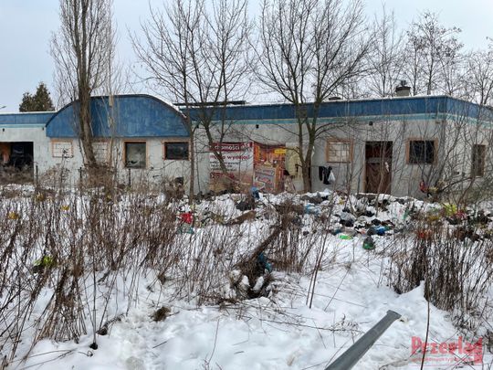 Dzik Chrumek i jego włości - 2.jpg