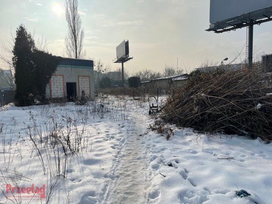 Dzik Chrumek i jego włości - 13.jpg