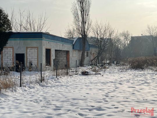 Dzik Chrumek i jego włości - 12.jpg