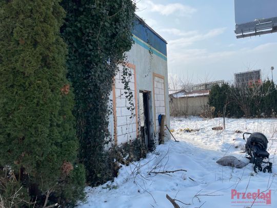 Dzik Chrumek i jego włości - 21.jpg