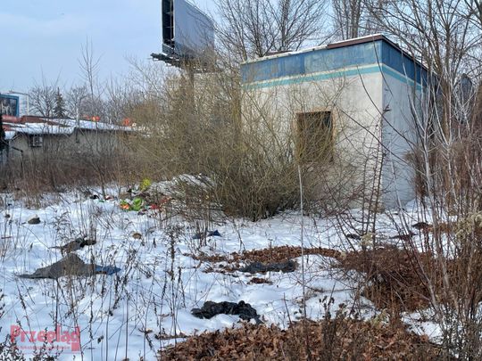 Dzik Chrumek i jego włości - 25.jpg