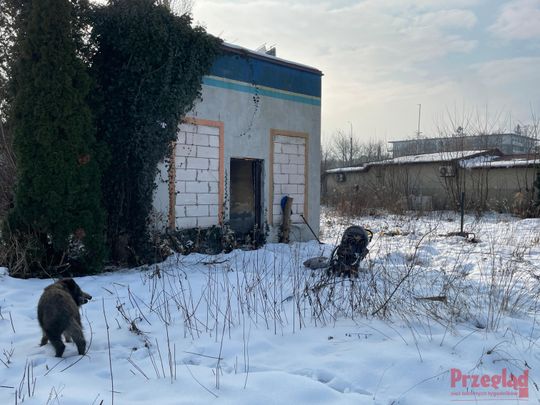 Dzik Chrumek i jego włości - 23.jpg