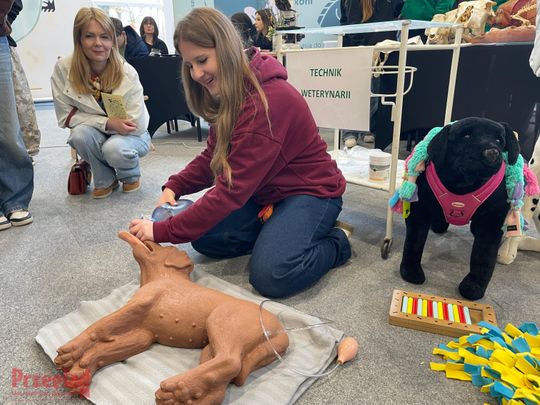 Powiatowe Dni Kariery Zawodowej -  10.jpg