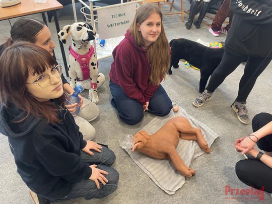 Powiatowe Dni Kariery Zawodowej -  35.jpg