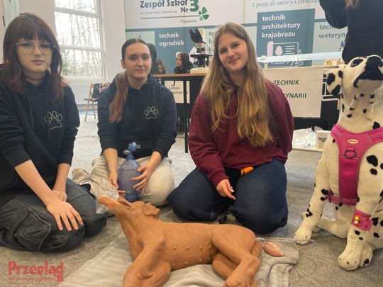 Powiatowe Dni Kariery Zawodowej -  49.jpg