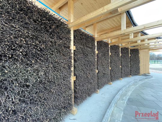 Przebudowa parku w Piasecznie - 5.jpg