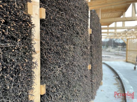 Przebudowa parku w Piasecznie - 3.jpg