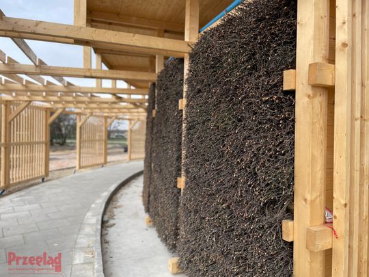 Przebudowa parku w Piasecznie - 4.jpg