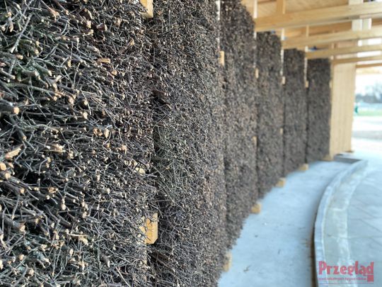 Przebudowa parku w Piasecznie - 6.jpg