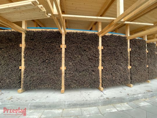 Przebudowa parku w Piasecznie - 2.jpg