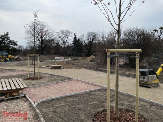 Przebudowa parku w Piasecznie - 10.jpg
