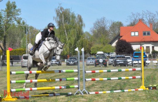 Zawody jeździeckie na Święto Flagi Tarczyn 2026 - 9.jpg