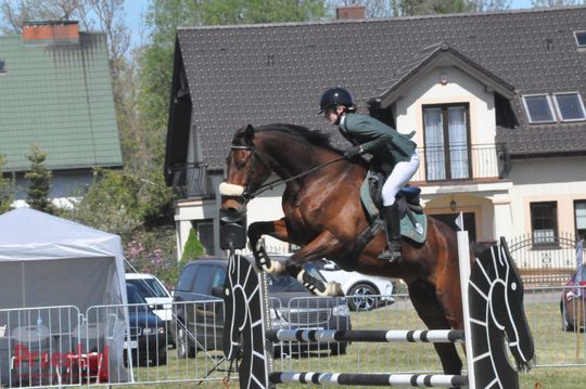 Zawody jeździeckie na Święto Flagi Tarczyn 2026 - 12.jpg