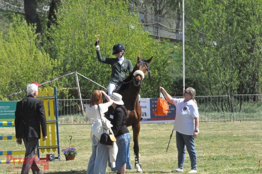 Zawody jeździeckie na Święto Flagi Tarczyn 2026 - 10.jpg