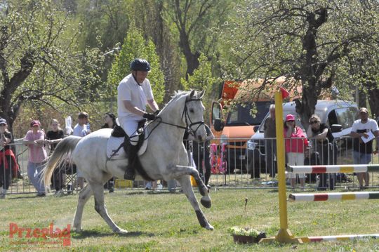 Zawody jeździeckie na Święto Flagi Tarczyn 2026 - 29.jpg