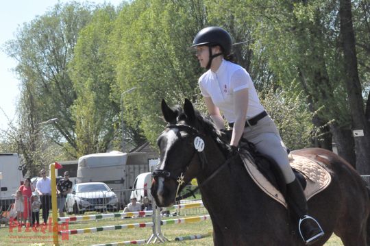Zawody jeździeckie na Święto Flagi Tarczyn 2026 - 28.jpg