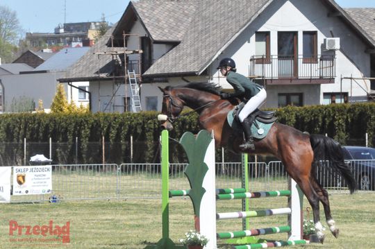Zawody jeździeckie na Święto Flagi Tarczyn 2026 - 44.jpg