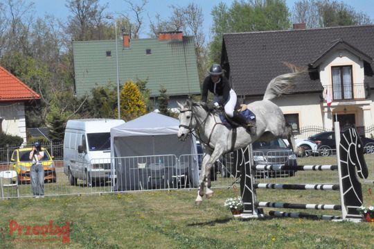 Zawody jeździeckie na Święto Flagi Tarczyn 2026 - 52.jpg
