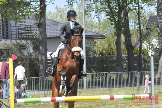 Zawody jeździeckie na Święto Flagi Tarczyn 2026 - 54.jpg