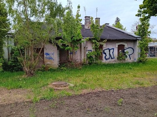 20260517_073705.jpg