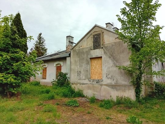 20260517_073846.jpg