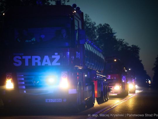 Walka z pożarem lasu pod Wołominem. Ogień objął setki hektarów [GALERIA ZDJĘĆ]