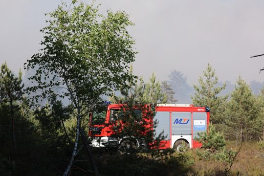 Ogromny pożar lasów na Mazowszu - 12.jpg