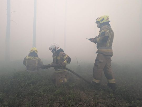 Ogromny pożar lasów na Mazowszu - 20.jpg