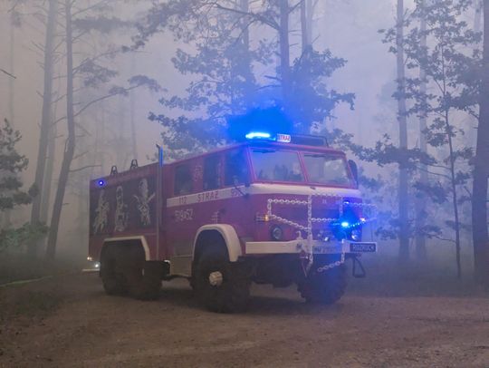 Ogromny pożar lasów na Mazowszu - 17.jpg