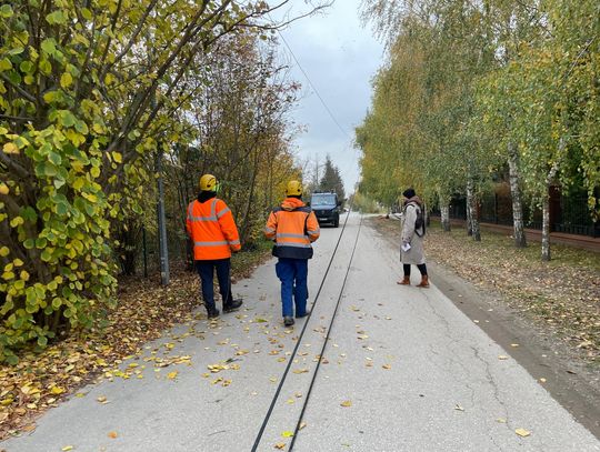 Wola Gołkowska. Słup energetyczny runął z pracującym na nim mężczyzną. Zdjęcia z miejsca wypadku